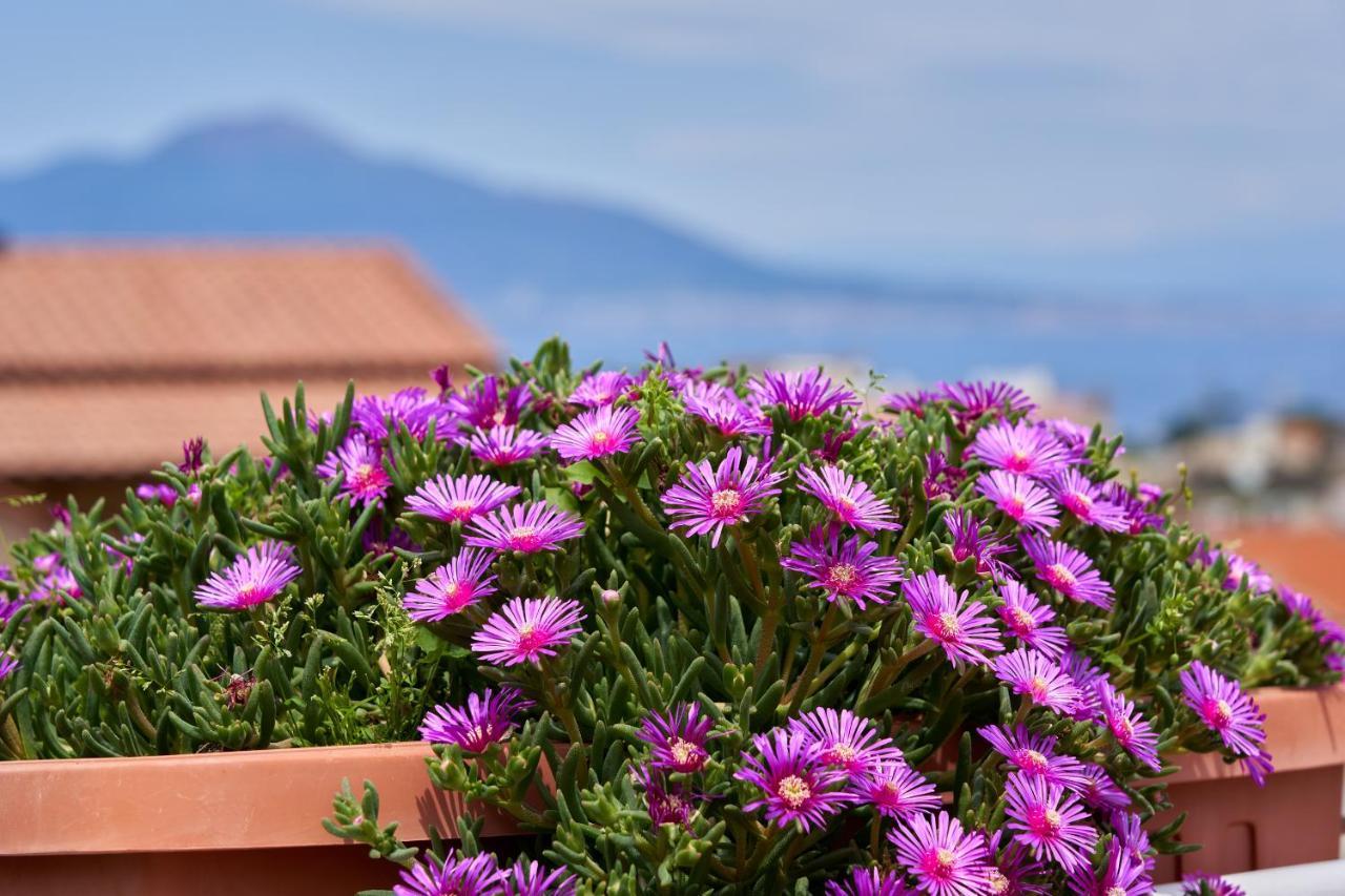 Sine Tempore Apartment Sorrento Exterior photo